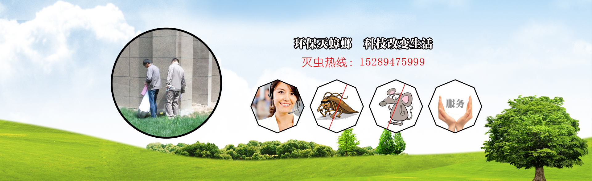 西安灭老鼠公司,西安灭蟑螂公司,西安消杀公司