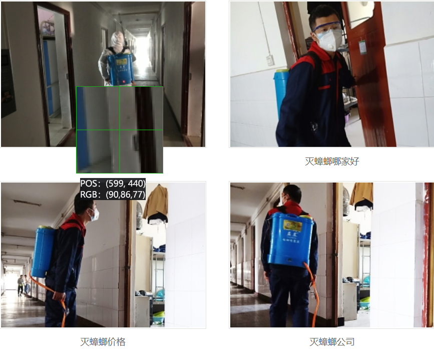 西安灭蟑螂公司