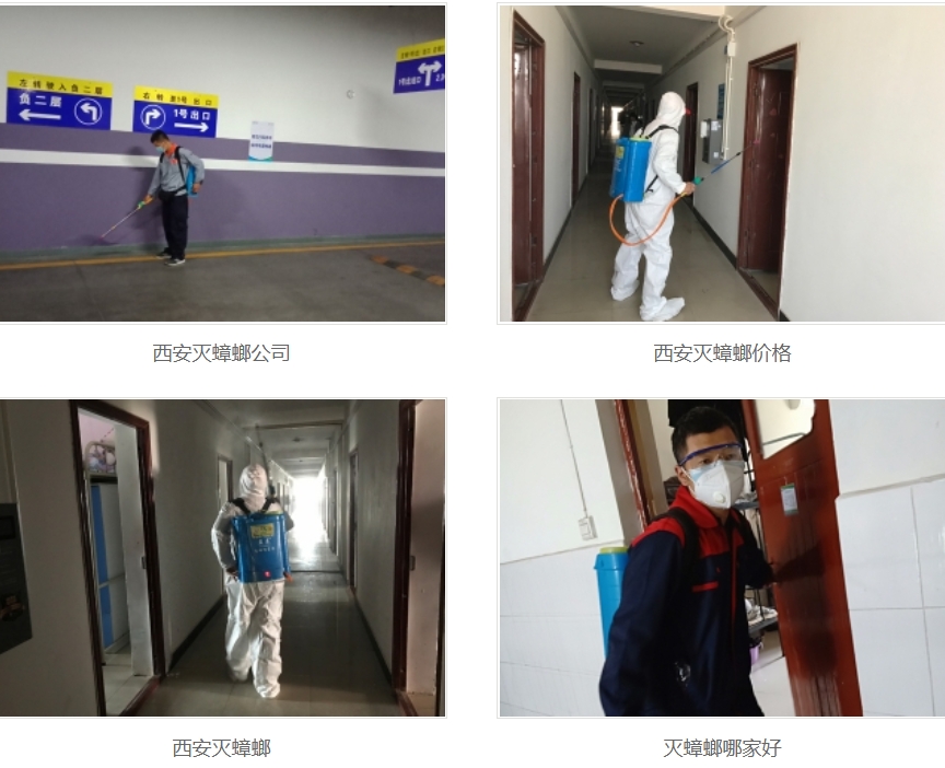 西安灭蟑螂公司