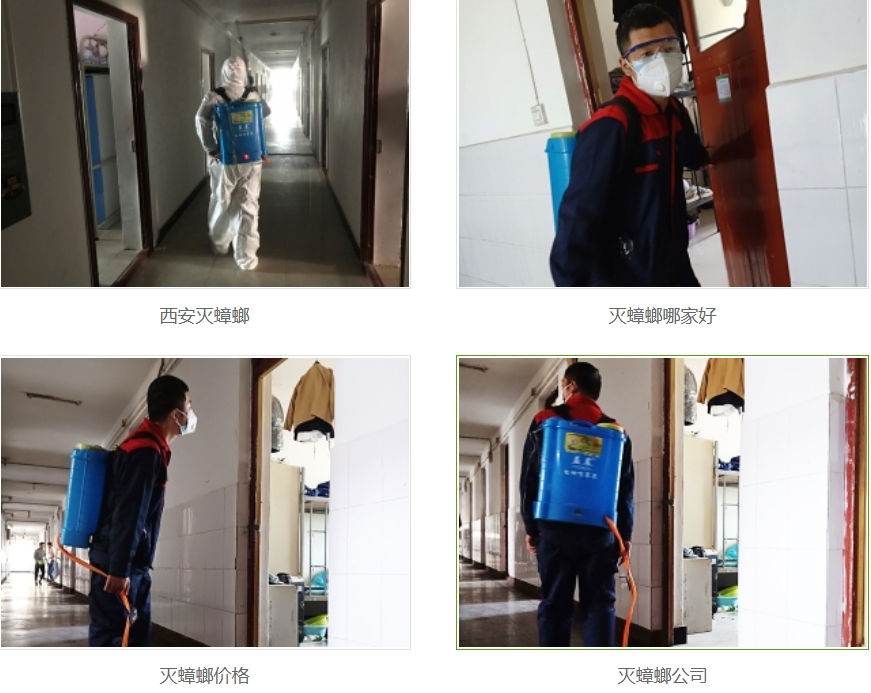 西安灭蟑螂公司