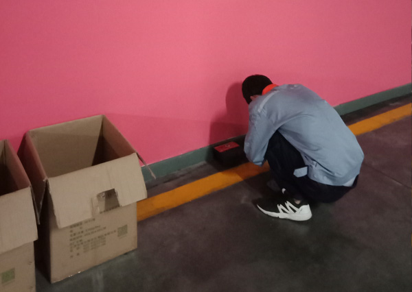 西安灭老鼠公司 西安灭老鼠公司