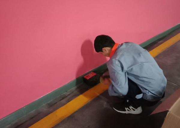 西安灭老鼠公司