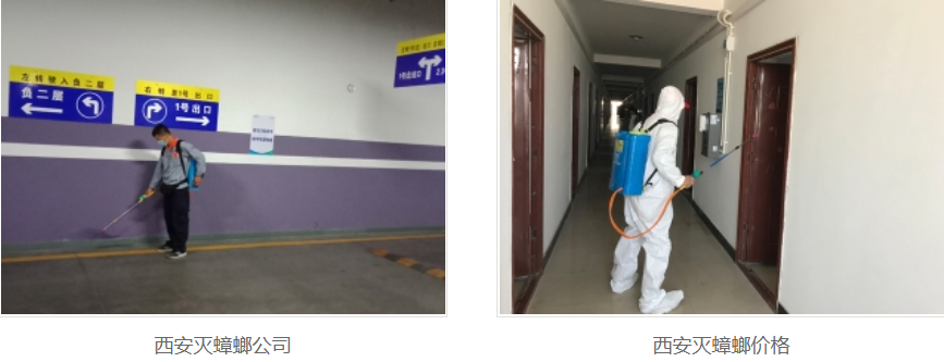 西安灭蟑螂公司 西安灭蟑螂公司