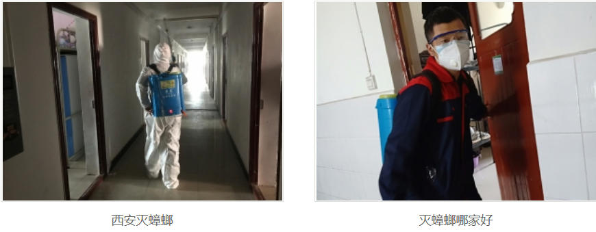 西安灭蟑螂公司 西安灭蟑螂公司