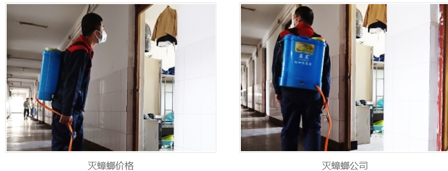 西安灭蟑螂公司