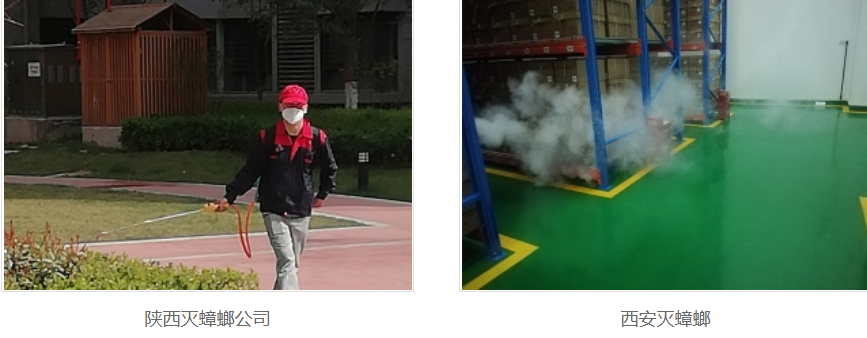 西安灭蟑螂公司