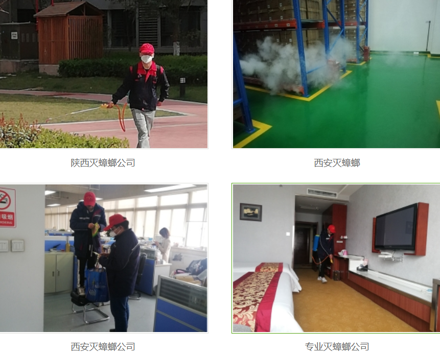 西安灭蟑螂公司