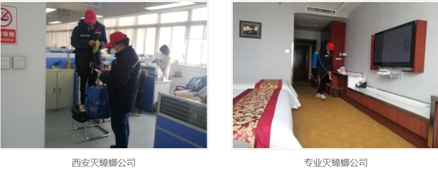 西安灭蟑螂公司