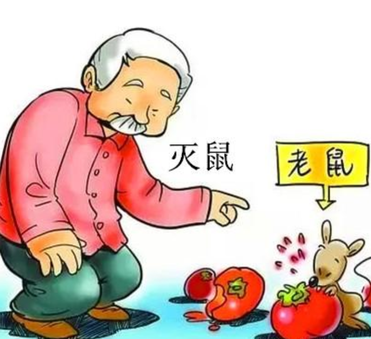 西安灭老鼠公司