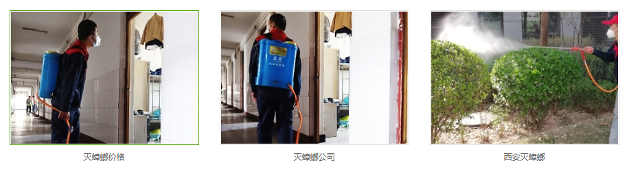 西安灭蟑螂公司
