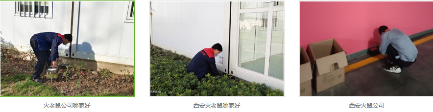 西安灭老鼠公司