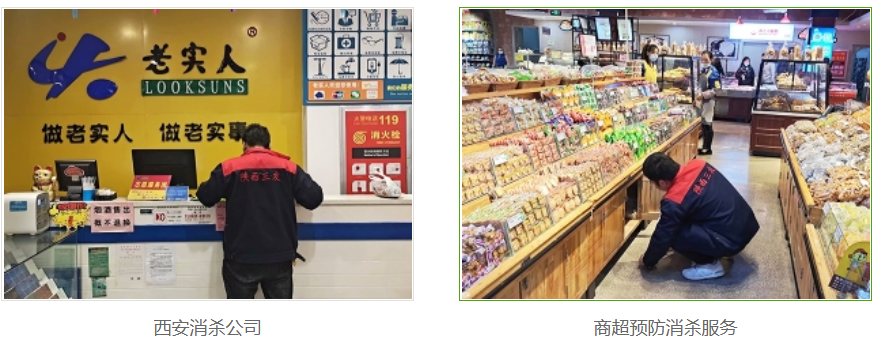 西安灭老鼠公司